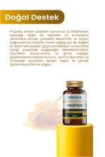 Shiffa Home Propolis 60 Kapsül