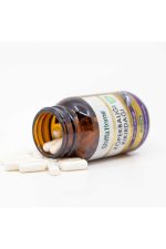 Shark Cartilage Köpek Balığı Kıkırdağı Kapsül 900mg X 60 Kapsül 2 Kutu
