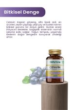 CETAVİN Yaban Mersini Yaprağı 60 Kapsül