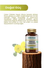 Çoban Çökerten Tribulus Terrestrıs 60kapsül