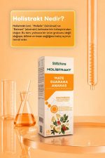 HOLİSTRAKT - Guarana, Mate, Yeşil Çay, Ananas İçeren Sıvı Ekstrat 250 ML