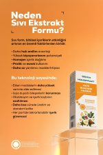 HOLİSTRAKT - Guarana, Mate, Yeşil Çay, Ananas İçeren Sıvı Ekstrat 250 ML