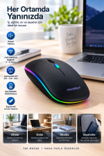 Pg9009 MOUSE