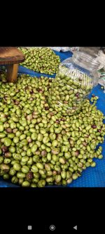 El kırması yeşil zeytin