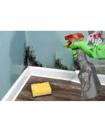 SİTRETT MX Mantar & Rutubet & Küf Temizleyici Pro 700 Gr.