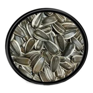 Vivid Alaca Küçük Papağan Çekideği 1 KG Açık