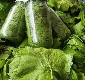 Yeni Mahsul Kuru Basım 1 kg Yaprak