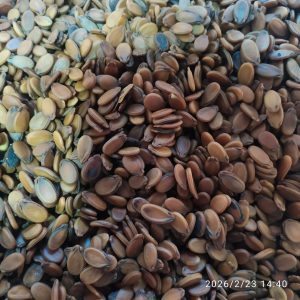 Karpuz Çekirdeği 1 Kg