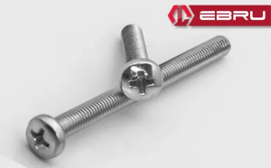 Ebru Yuvarlak Yıldız Başlı Ysb Civata M5x30 - 20 Adet