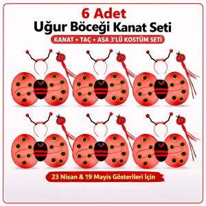 6'lı Uğur Böceği Ateş Böceği Kostüm Seti – Kanat Taç Asa